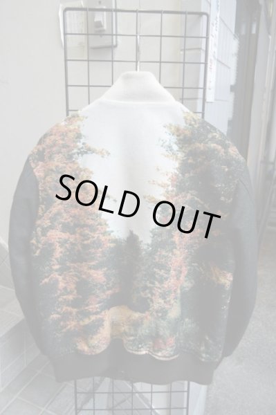 画像2: 【USED】PHENOMENON(フェノメノン)ジャガード織りホース柄スタジャン (2)