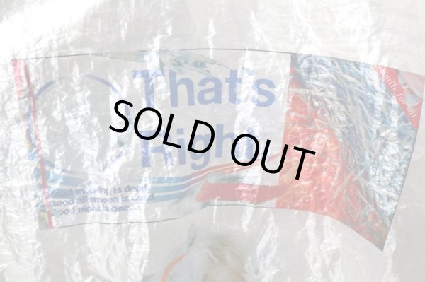 画像3: 【BALMUNG バルムング】グラスファブリックシースループリントビッグTシャツ (3)