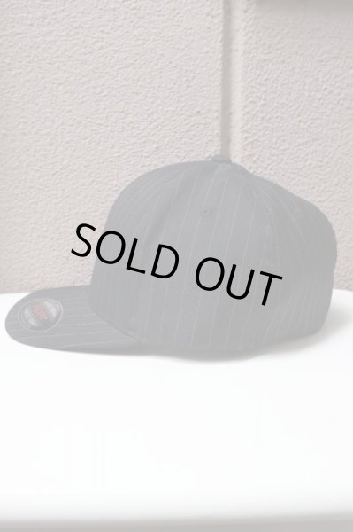 画像4: 【AO アオ】アナーキーダック刺繍キャップ ブラック (4)