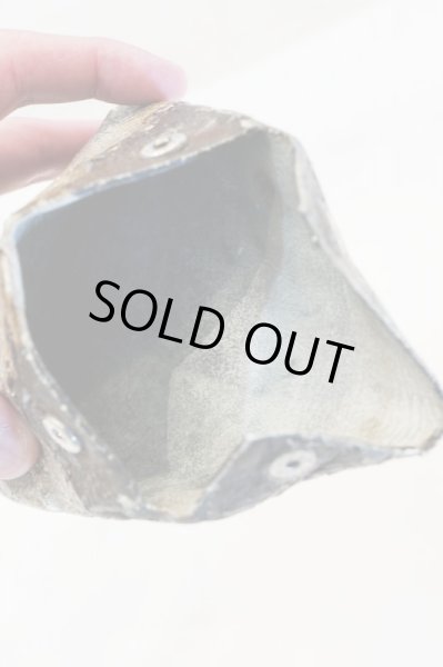 画像6: 【kagari yusuke カガリユースケ】100年の壁 コインケース (6)