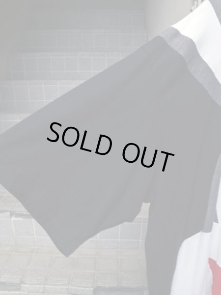 画像3: 【Daniel Palillo ダニエルパリッロ】 RABBIT 切替デザインビッグＴシャツ (3)