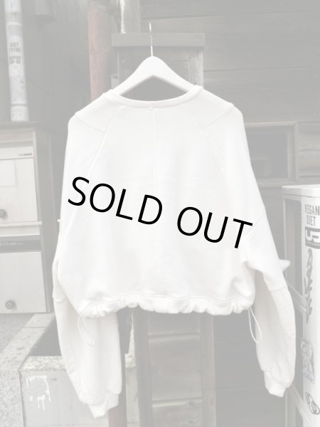 画像2: 【絶滅危惧種 zetsukigu ぜつきぐ】ショート丈トゲスウェット (2)