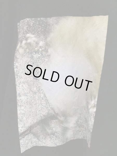 画像4: 【BALMUNG バルムング】グラフィックプリントビッグTシャツ (4)