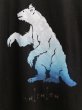 画像3: 【ha za ma ハザマ】アーカーシャ クロニカル シロクマ 白熊 Tシャツ カットソー (3)