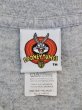 画像5: 【LOONEY TUNES ルーニー・テューンズ Warner Brosワーナー・ブラザース 】90's vintage 90年代 ヴィンテージ トゥイ―ティー プリントビッグTシャツ (5)